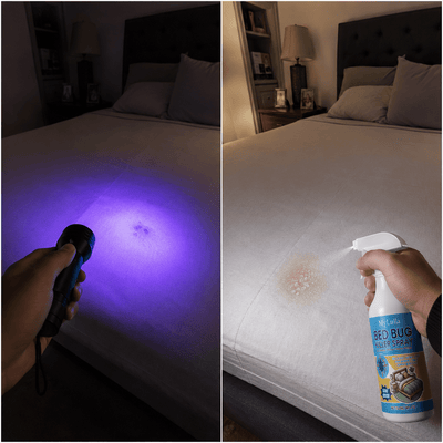 Lulla Bed Bugs - Lulla